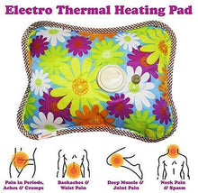 Load image into Gallery viewer, 341 Electric Hot Water Bag