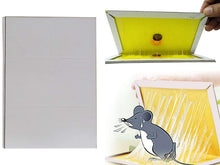 Load image into Gallery viewer, Your Brand Rodent Taps - Mouse Traps Insect Rodent Lizard Rat Catcher Adhesive Sticky Glue Pad