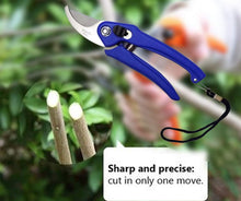Load image into Gallery viewer, Your Brand Gardening Combo - Flower Cutter (Hedge Shears) &amp; Household/Garden Scissor
